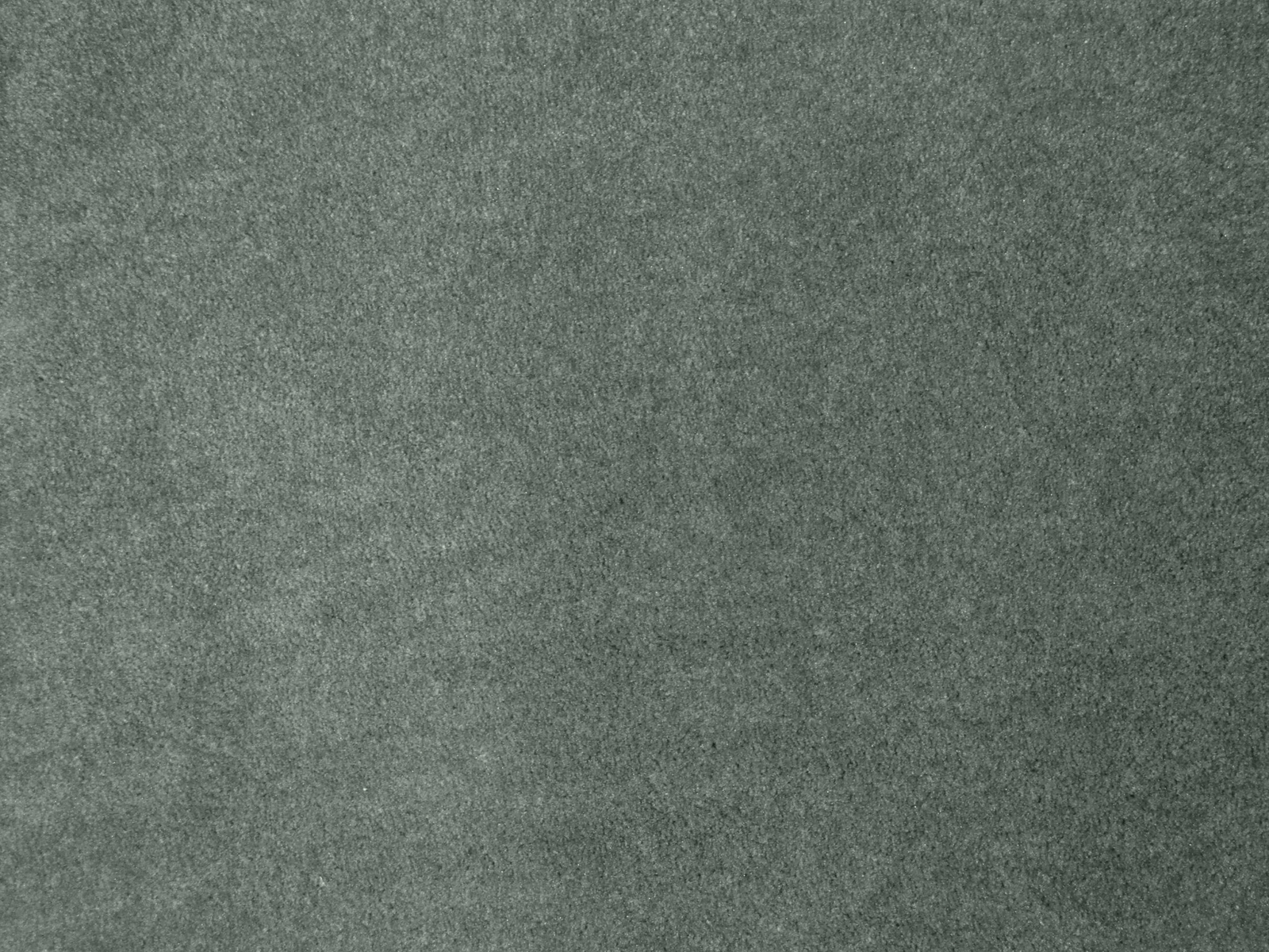 Charcoal | 10' Advantage Plus Carpeting for Trade Shows | 50 oz. 