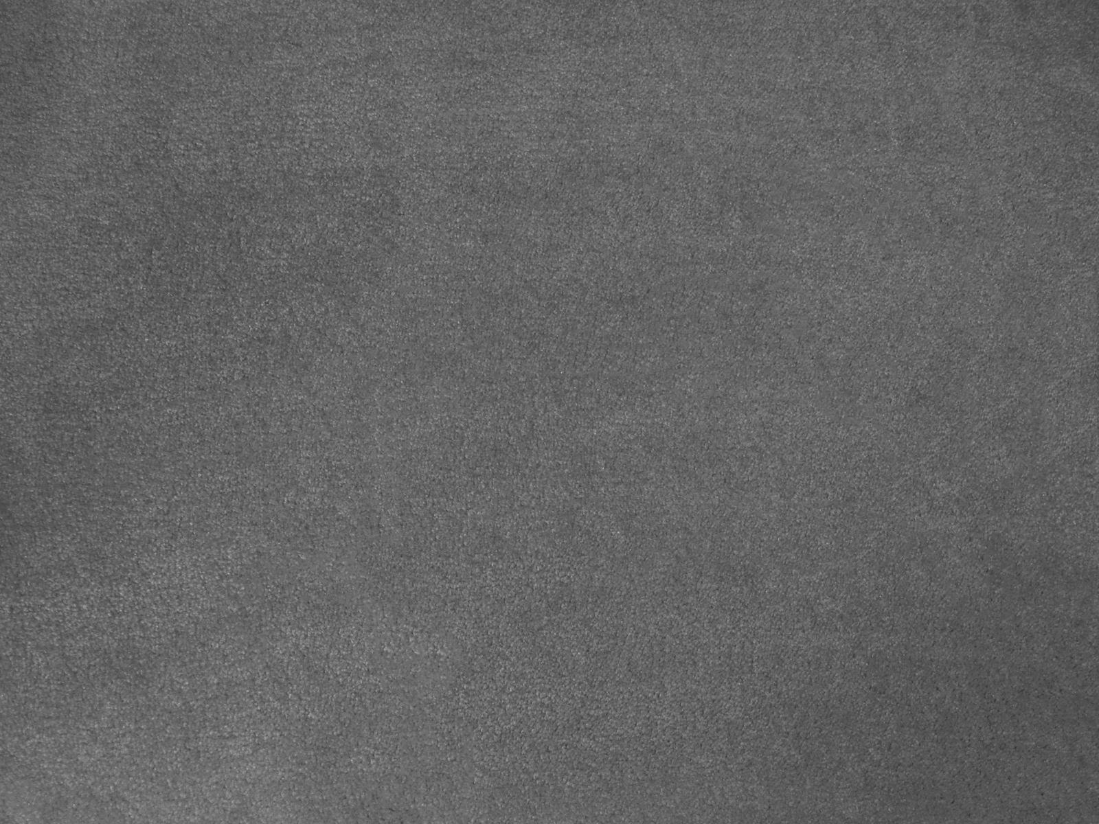 English Grey | 10' Advantage Plus Carpeting for Trade Shows | 50 oz. 