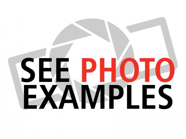 Perfect 10 Hybrid Display Photos 